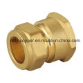 ISO9001 Certified Brass Forged Tank Connector (AV7006)